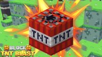Block TNT Blast Online Game