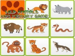 Kids Memory Wild Animals Online Game