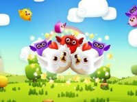 Birds Lineup Puzzle Game