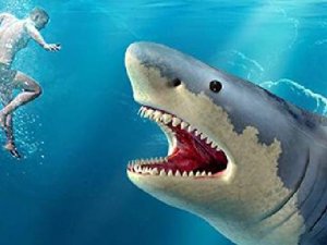 Sea Watch: Marine Life Tracking