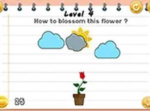 Thinking Game - Brain Puzzles Online