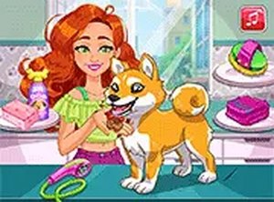 Jessie's Shiba Dog: Pet Care Dress Up Game