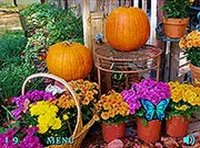 100 Butterflies: Autumn Garden Online Puzzle Game