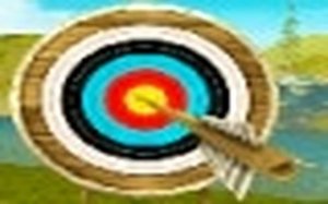 Bowmaster Target Range Archery Game